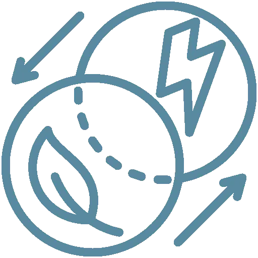 Transition entre une feuille et un éclair